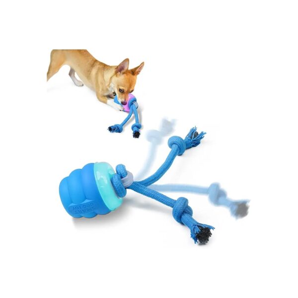 Interactive Dog Toy with Motion Activated Rolling Ball and Advanced Sensory Stimulation