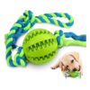 Interactive Durable Dog Ball for Teething and Chew Toy Play with Medium Dogs