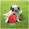 Interactive Jolly Dog Toy with Giggle Sound and Wobble Wag Ball for Small and Large Dogs