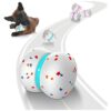 Interactive Motion Activated Bouncing Ball for Dogs with Touch Sensor