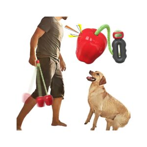 Interactive Outdoor Squeaky Toy for Medium Large Breed Dogs