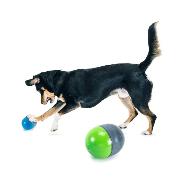 Interactive Squeaking Dog Toy for All Breed Sizes - Keeps Dogs Active and Entertained