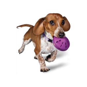 Interactive Treat Dispensing Dog Toy for Medium Breeds