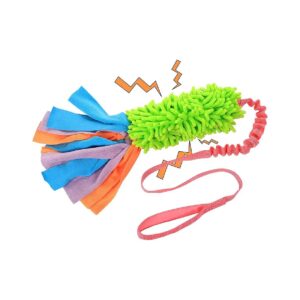 Interactive Tug Toy for Small Medium Large Dogs with Squeaky Sound and Textured Material