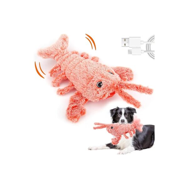 Interactive and Portable for Exercise and Entertainment for Small Medium Large Dogs