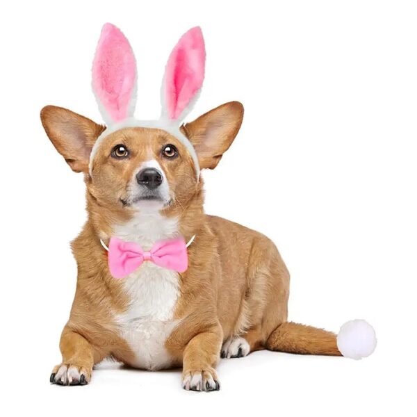 Irresistible Dog and Cat Costume Set with Adjustable Headband and Soft Plush Bunny Ears