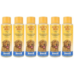 Itch Dog Shampoo for All Breeds, pH Balanced for Gentle, Effective Cleansing