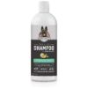 Itchy Skin Relief Shampoo with Aloe Vera and Oatmeal