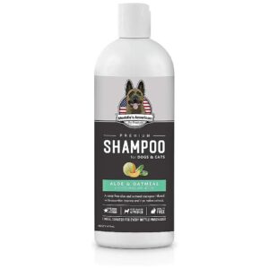 Itchy Skin Relief Shampoo with Aloe Vera and Oatmeal