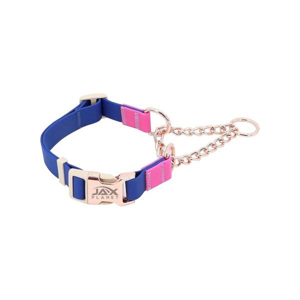 Jelly Color-Block Martingale Collar for Dogs with Buckle and Chain, Heavy-Duty D-Ring