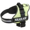 Julius Inspired Dog Harness Size 1 in Neon Green