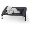 K & H Pet Cot Waterproof Medium Dog Bed with Bolster and Mesh