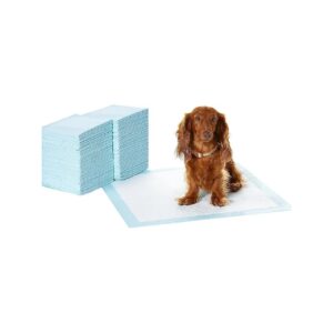 Kashmir Training Pads for Dogs 100 Count 13x18 inch Instant Absorption