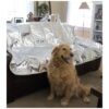 Keep Pets Off Furniture, Non Electric Pet Repellent Mat, Pain Free Design