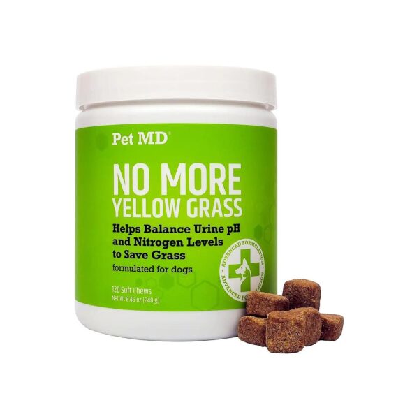 Keep Your Lawn Green and Your Dog Healthy with Probiotic and Amino Acid Chews