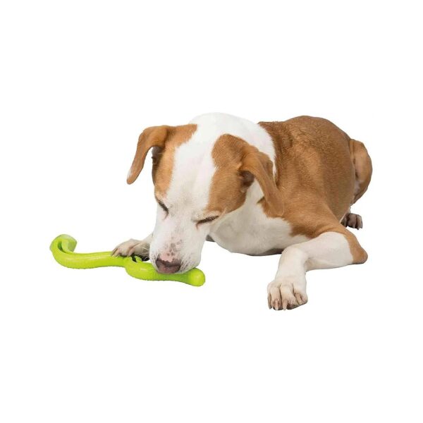 Kibble-Filled Dog Puzzle Toy for Mentally Stimulating and Delighting Play