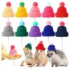 Knitted Mini Pet Hats for Small Reptiles and Rodents with Adjustable Chin Band