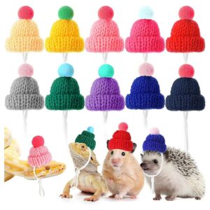 Knitted Mini Pet Hats for Small Reptiles and Rodents with Adjustable Chin Band