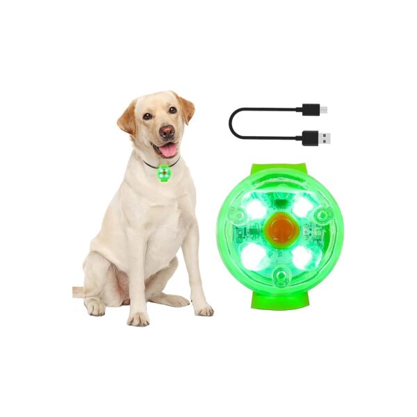 LED Dog Collar Light for Enhanced Visibility and Pet Safety at Night