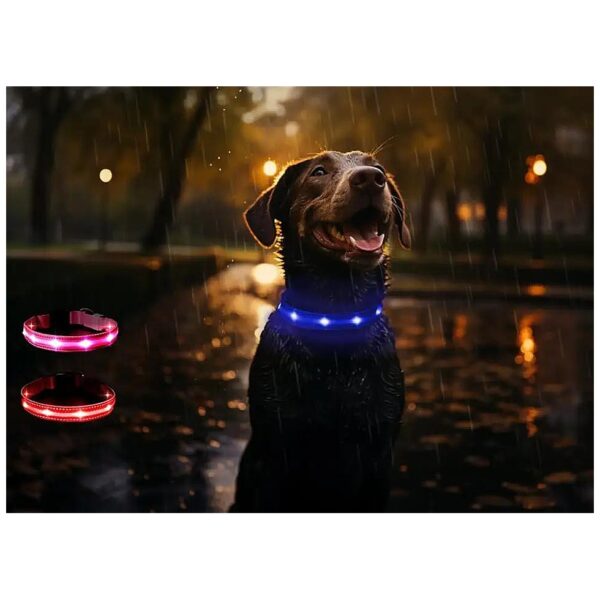 LED Dog Collar with 3 Modes for Increased Visibility and Safety by Day or Night