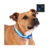 LED Dog Collar with 360 Degree Light for Active Dogs