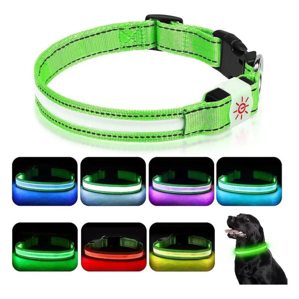 LED Dog Collar with 5 Light Modes for Medium Large Dogs