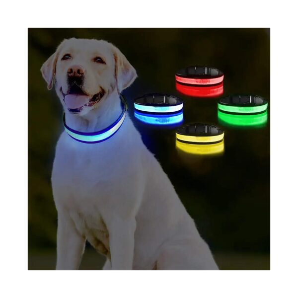 LED Dog Collar with Adjustable Size and Rechargeable Battery for Small to Large Dogs