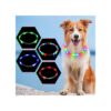 LED Dog Collar with Glowing Safety Features for Small Medium Large Breeds