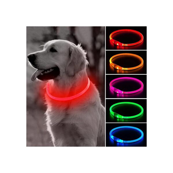 LED Dog Collar with High Visibility in Red for Small Medium Large Dogs