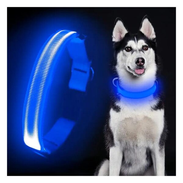 LED Dog Collars with Adjustable Nylon Webbing and Durable Buckle for Medium to Large Dogs