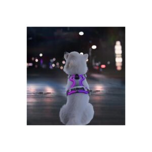 LED Dog Harness for Small Dogs with Easy Control Handle and Two Leash Clips