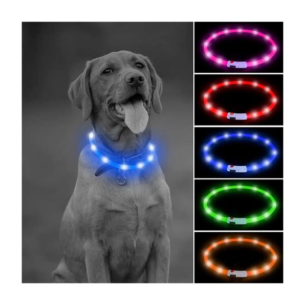 LED Dog Light Collar for Barking Buddies with Long-Lasting Battery Life