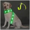 LED Dog Light Vest for Night Walking Safety with Easy Recharge and Reflective Beads