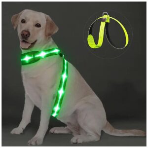 LED Dog Light Vest for Night Walking Safety with Easy Recharge and Reflective Beads