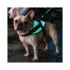 LED Illuminated Dog Harness for Small Dogs and Puppies in 3 Sizes with Easy USB Charging