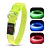 LED LED Dog Visiblity Collar with USB Rechargeable Battery and Adjustable Length