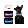 LED Light Collars for Dogs with Safety and Visibility in Mind