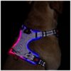 LED Light Up Dog Harness with Reflective Vest and Adjustable Handle for Small Dogs