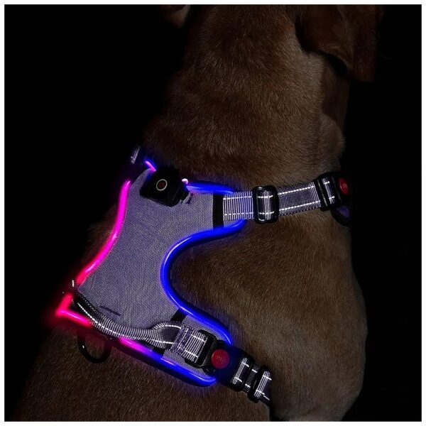 LED Light Up Dog Harness with Reflective Vest and Adjustable Handle for Small Dogs