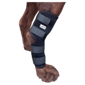 Labra's Extra Supportive Hock Joint Compression Wrap for Canine Recovery