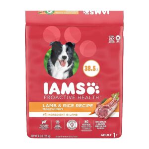 Lamb and Rice Recipe Adult Dry Dog Food for Healthy Adult Dogs