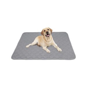 Large 36" x 60" Pet Pee Pads for Potty Training and Travel