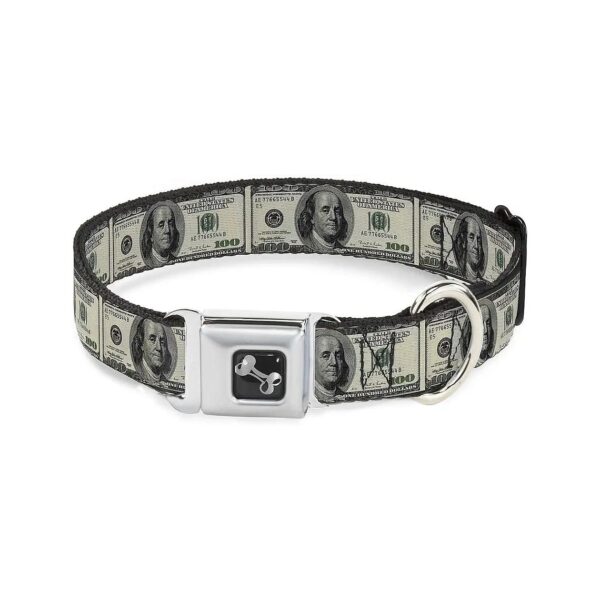 Large Adjustable Seatbelt Buckle Dog Collar in 100 Dollar Bills Design