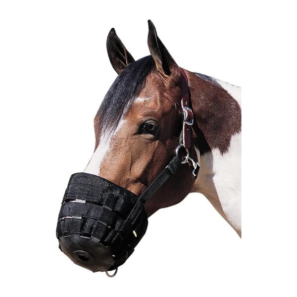 Large Black Leather Grazing Muzzle for Horses with Neoprene Liner and Rubber Durability