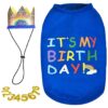 Large Blue Dog Birthday Outfit Set Includes Shirt and Hat for Small to Medium Dogs