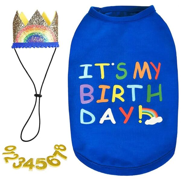 Large Blue Dog Birthday Outfit Set Includes Shirt and Hat for Small to Medium Dogs