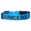 Large Blue Dog Collar with Secure Attachment and Adjustable Size