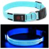 Large Blue Reflective LED Dog Collar for Night Walking and Camping Visibility