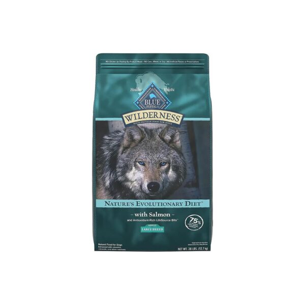 Large Breed Dog Food Rich in Salmon, Wholesome Grains, and Antioxidants for Adult Canines