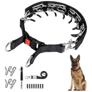 Large Breed Dog Pinch Choke Collar with 2 Extra Links and Sexually Appealing Packaging